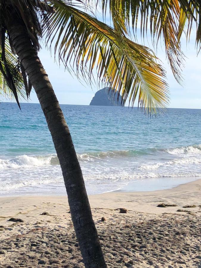 Studio Sainte Anne 2Mn A Pieds De La Plage ,Possibilite Location De Voiture エクステリア 写真